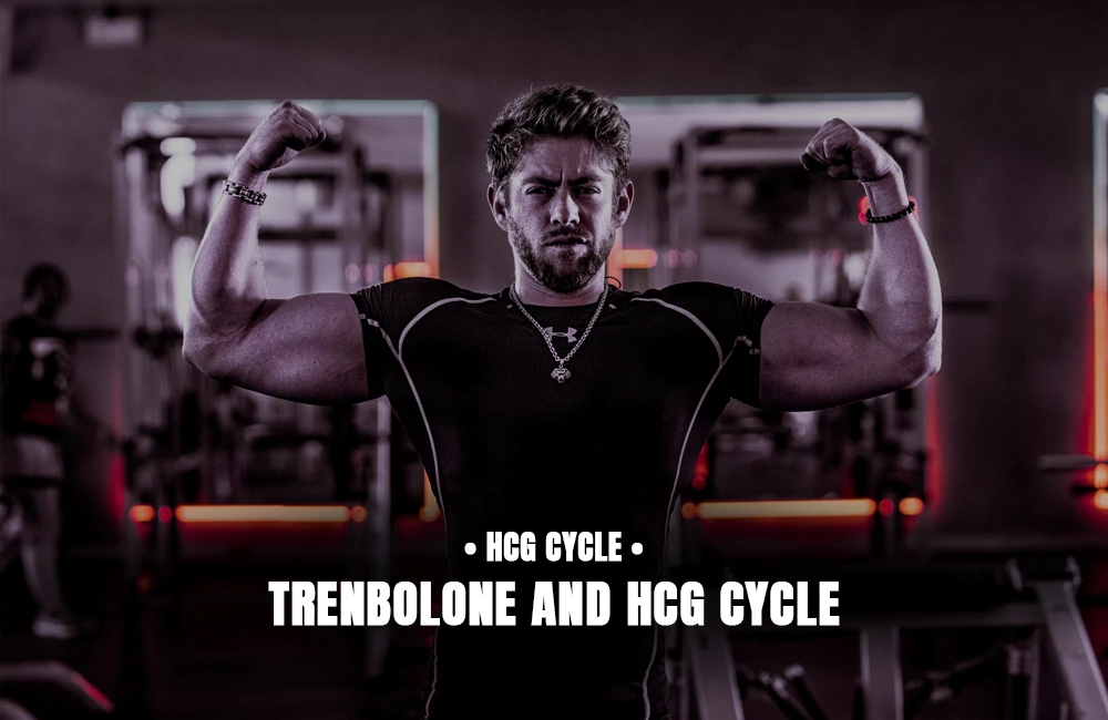 Trenbolone and HCG Cycle