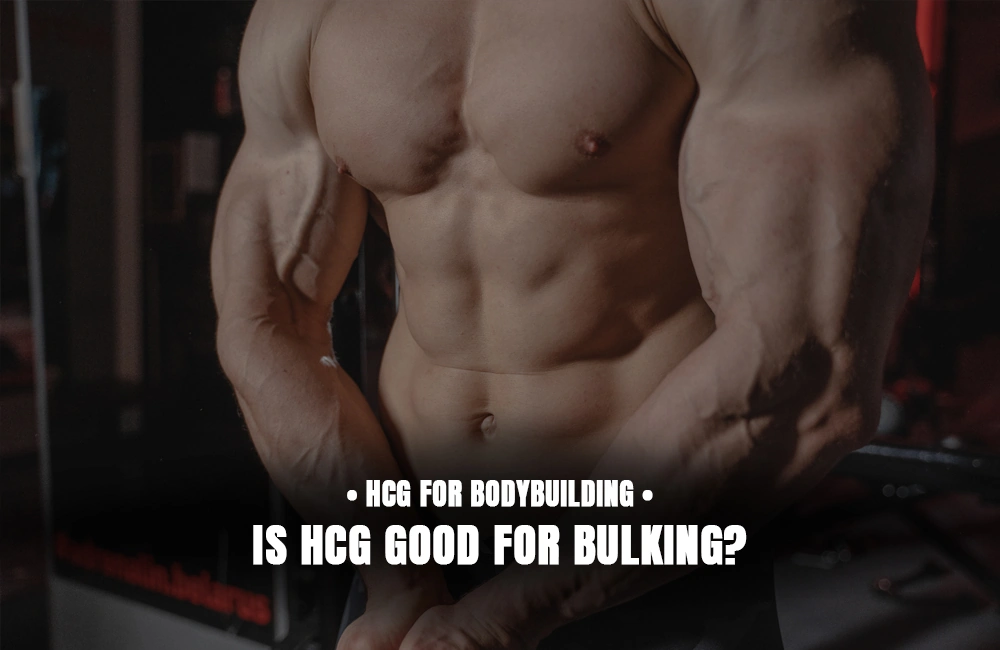 Is HCG good for bulking?