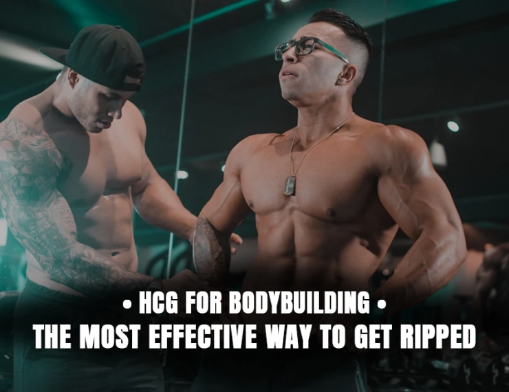 HCG for Bodybuilding