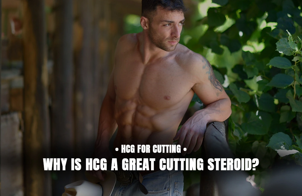 Why is HCG great for cutting