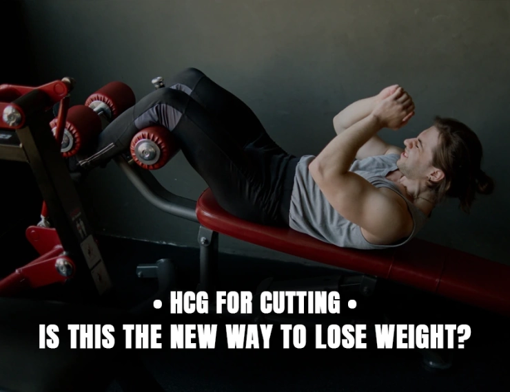 HCG for Cutting