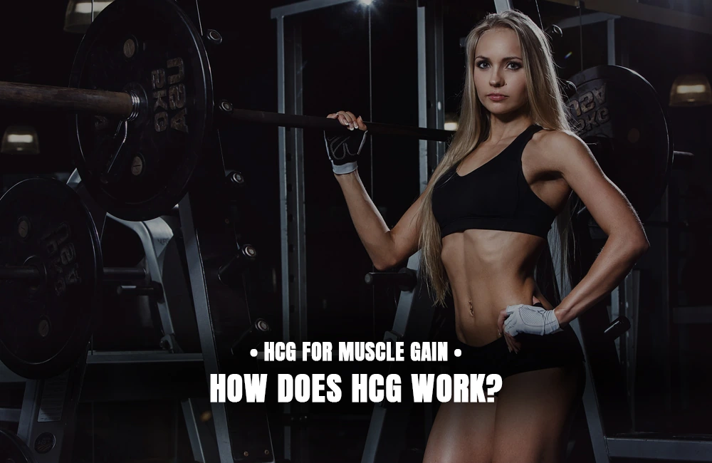 How does HCG work?