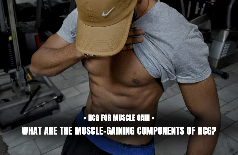 HCG muscle-gaining components