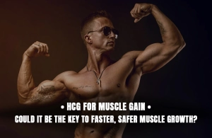 HCG for Muscle Gain