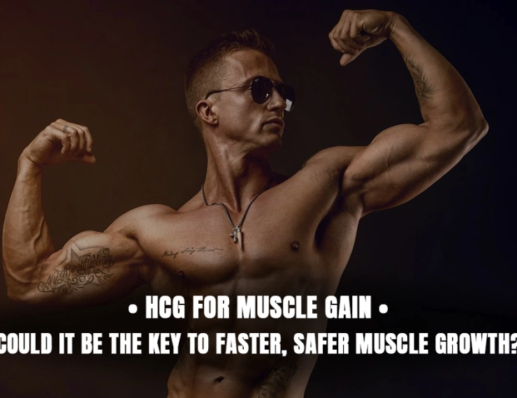 HCG for Muscle Gain